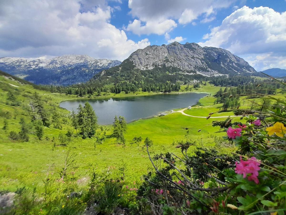 Greiner'S Ferienzimmer Tauplitz Esterno foto